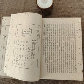 中国药学大辞典 下册