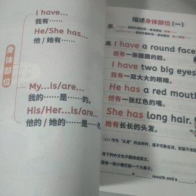 小学英语句式一本通 小学英语知识大全句子训练专项练习句子积累母句母题图解速记书专项训练