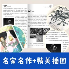 数学花园漫游记(名师讲解版)/中小学科普经典阅读书系