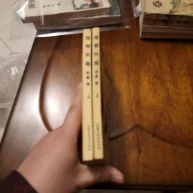老武侠17：毒臂神魔（上下）