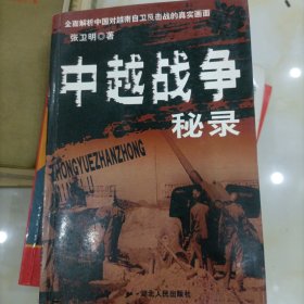 中越战争秘录