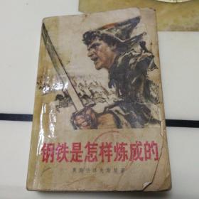 钢铁是怎样炼成的(世界名著，1976年一版一印，人民文学出版社，带有馆藏印章，带有多幅黑白手绘插图，难能可贵的是原书一张人物表，照片清晰可见！)