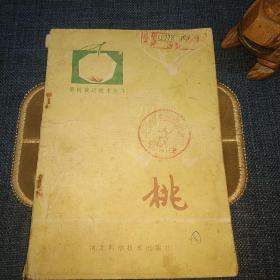 果树栽培技术丛书 桃