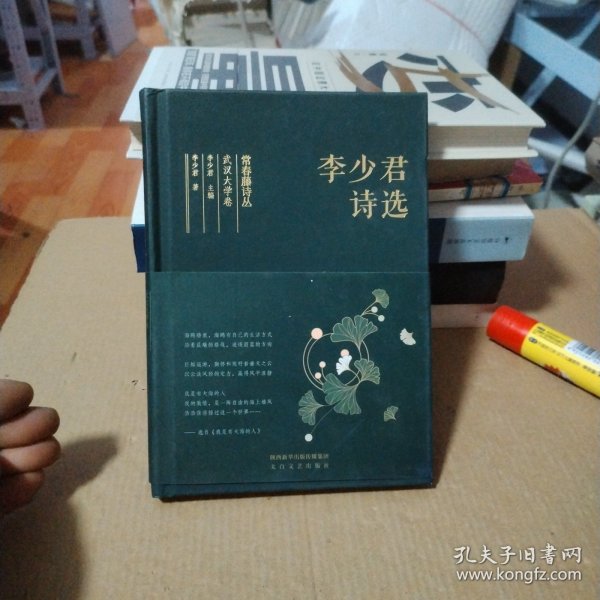 常春藤诗丛：李少君诗选