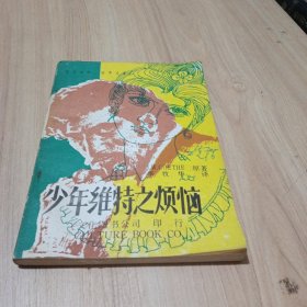 少年維持之煩惱