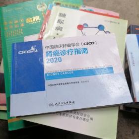 中国临床肿瘤学会（CSCO）肾癌诊疗指南2020