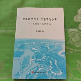 发展数字经济打造华为小镇