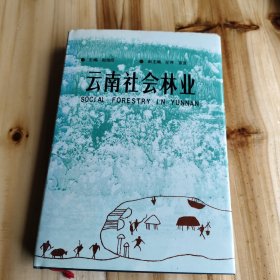 云南社会林业