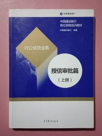 对公信贷业务 授信审批篇（上册）