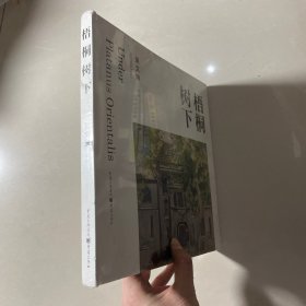 梧桐树下
