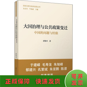 大国治理与公共政策变迁：中国的问题与经验（国家治理与政府创新丛书）