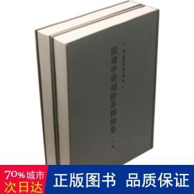 殷墟甲骨刻辞摹释总集