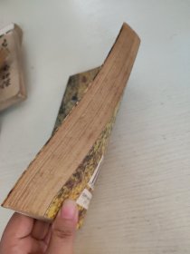 炮类布局大全.下集.中炮对顺手炮和其他