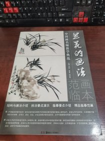 中国画名师教学典范：兰花的画法