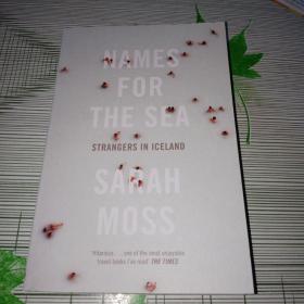 Names for the Sea: Strangers in Iceland