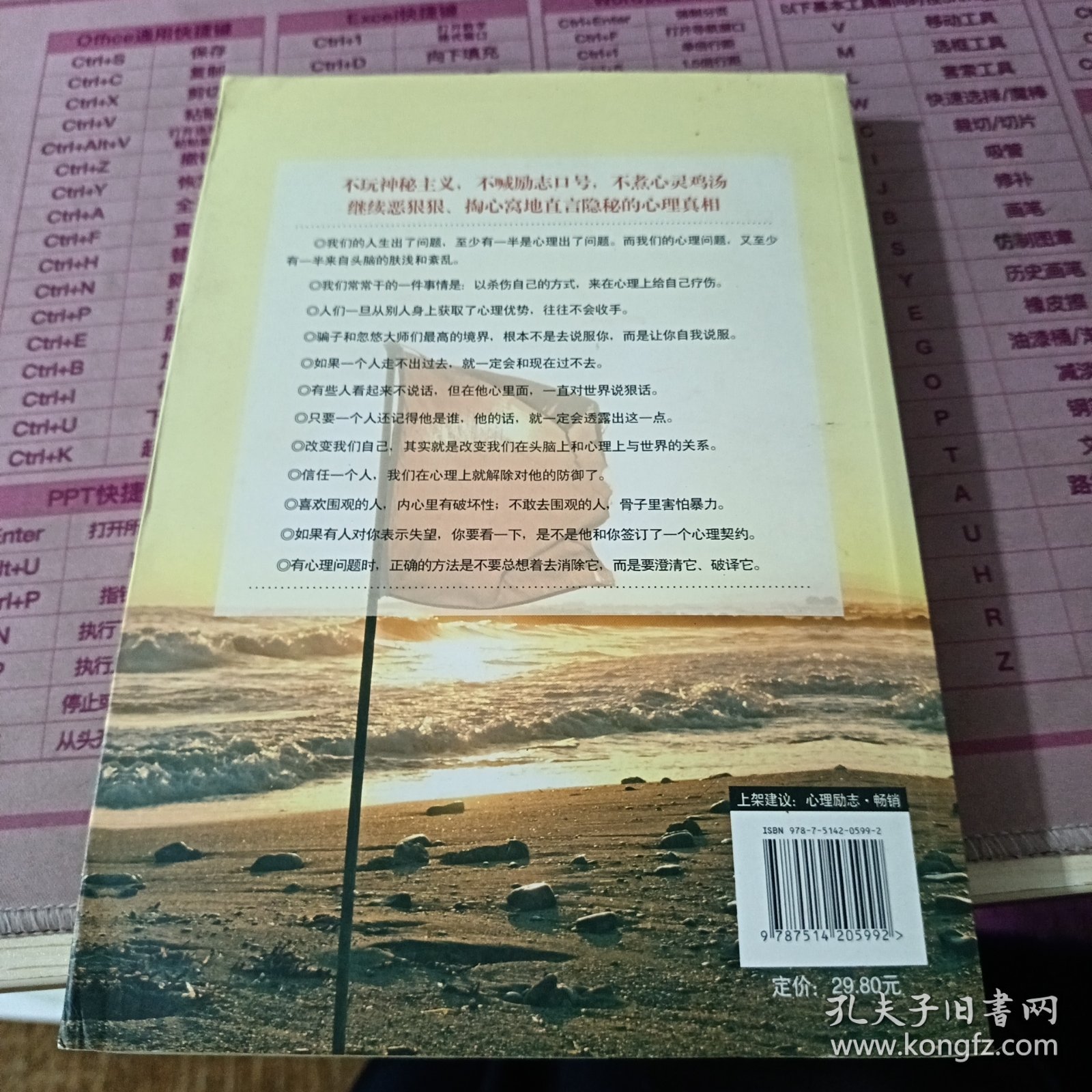 世界如此险恶，你要内心强大 2：方法·实战篇