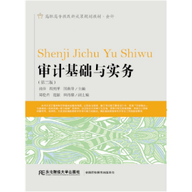 审计基础与实务-(第二版)9787565420474蒲萍东北财经大学出版社