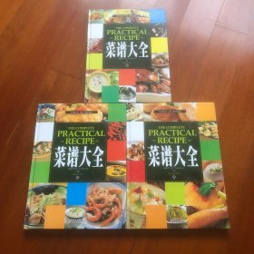 菜谱大全（上中下）