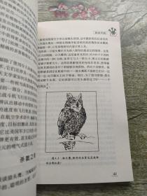 数学天赋：人人都是数学天才