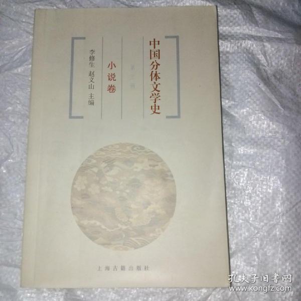 中国分体文学：小说卷（第三版）