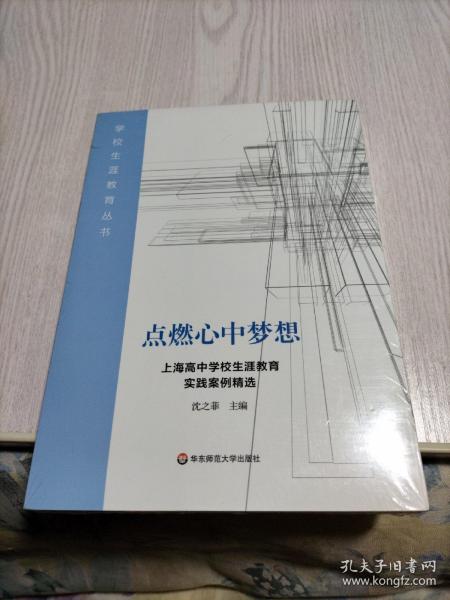 点燃心中梦想：上海高中学校生涯教育实践案例精选