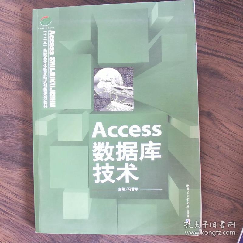 Access数据库技术