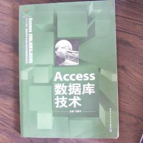 Access数据库技术