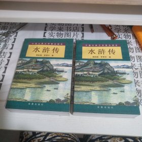 中国古典文学普及读本：水浒传（上下） 7K