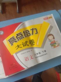 亮点给力大试卷语文6年级下册2021春季