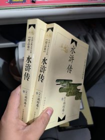 中国古典文学名著精品集 水浒传 上下