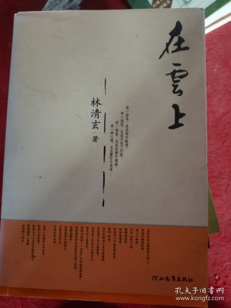 在云上