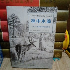 林中水滴