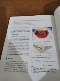 乳腺外科要点与盲点：乳腺外科要点与肓点