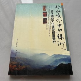 丛山峻林中的绿洲：安宁河谷文化遗存调查研究