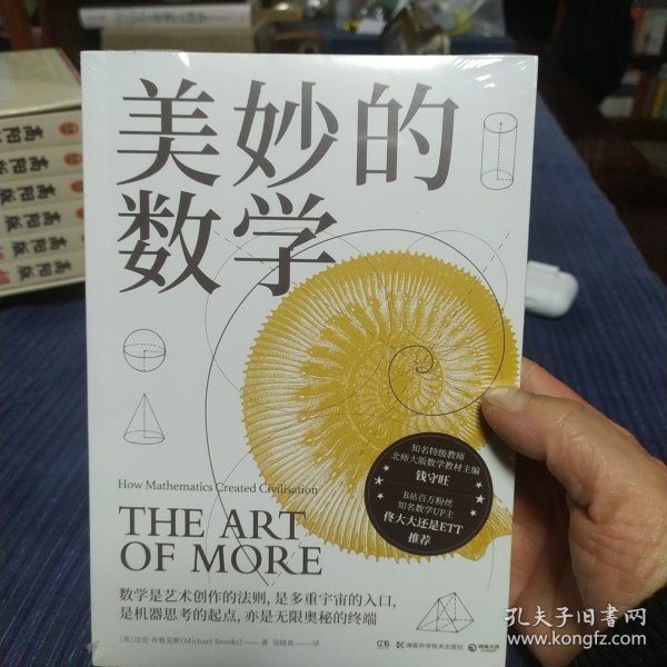 美妙的数学（以跌宕起伏的生动叙事讲述数学的发展和应用，感受数学的美妙与优雅！）