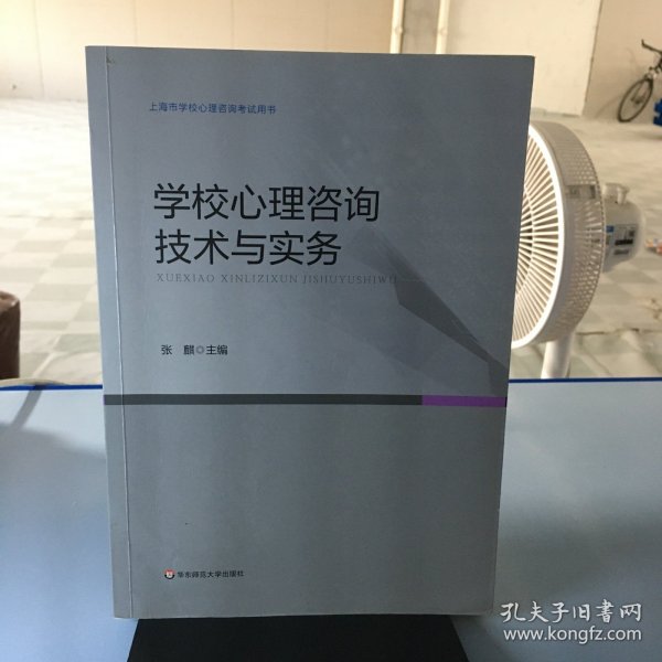 学校心理咨询技术与实务