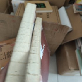 中国古桥志