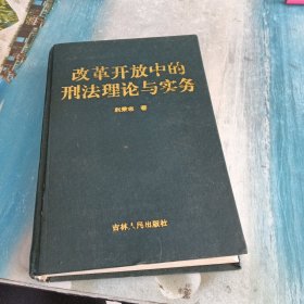 改革开放中的刑法理论与实务