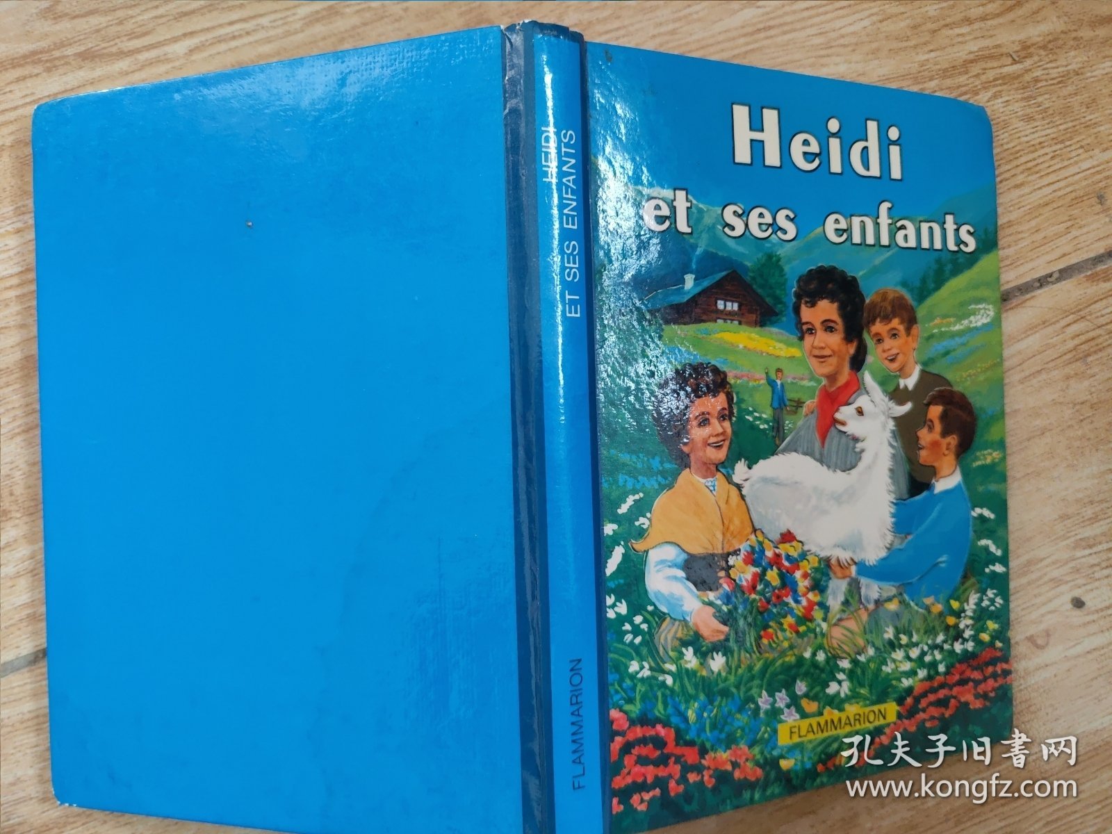 Heidi et ses enfants- 精装本