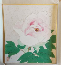 富贵花 纯手绘 日本套装回流精品色卡 玲燕作品 长27cm宽24Cm。画功佳。实价不议不包不退换。