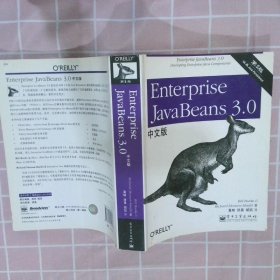 Enterprise JavaBeans 3.0中文版