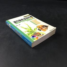 流行软件咨询手册（无光盘）