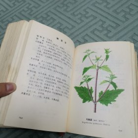 陕甘宁青中草药选（全一册软精装本）