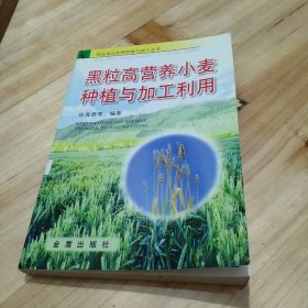 黑粒高营养小麦种埴与加工利用一一黑色食品作物种植与加工丛书