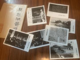莫愁湖景选 7张
