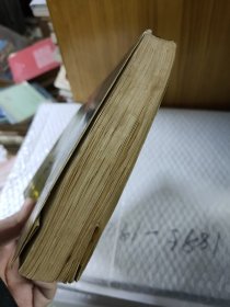 皇父摄政王多尔衮全传