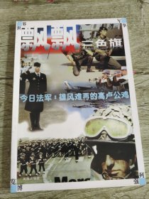 飘飘三色旗 今日法军:雄风难再的高卢公鸡