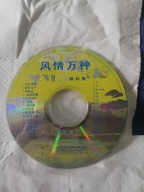 风情万种卡拉OK精致集VCD单碟