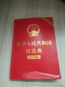 中华人民共和国民法典（大字版32开大字条旨红皮烫金）2020年6月新版