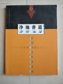 一本库存 中国当代书法家经典作品 净池书道 定价128元 特价50包邮 新平房